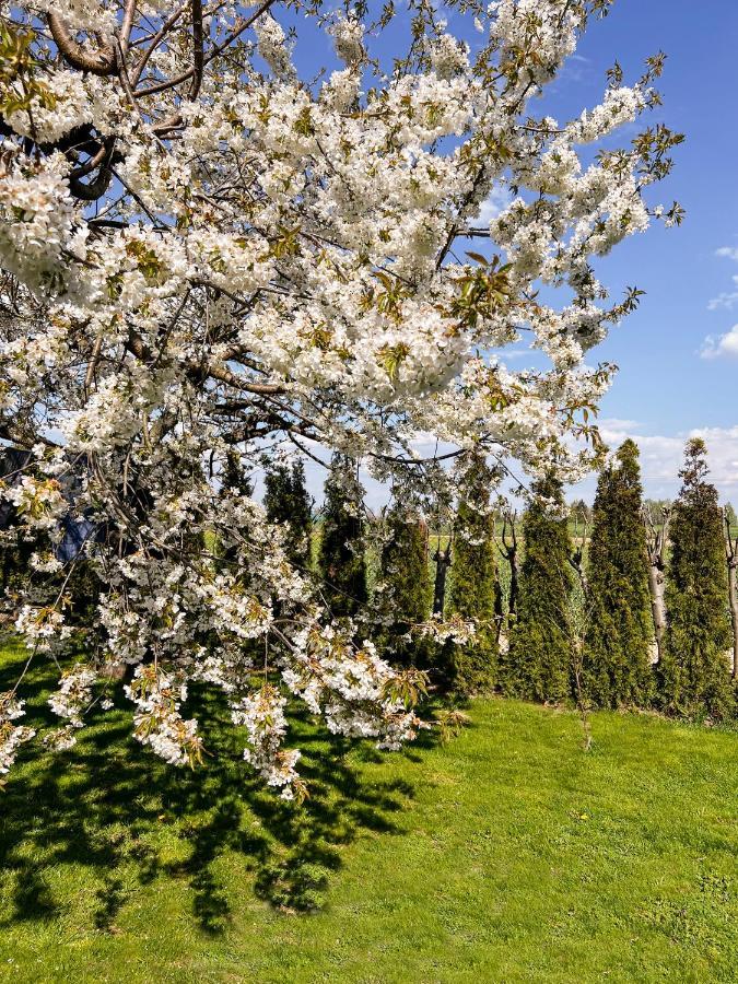 Noclegi Pod Lasem Lublin Eksteriør bilde